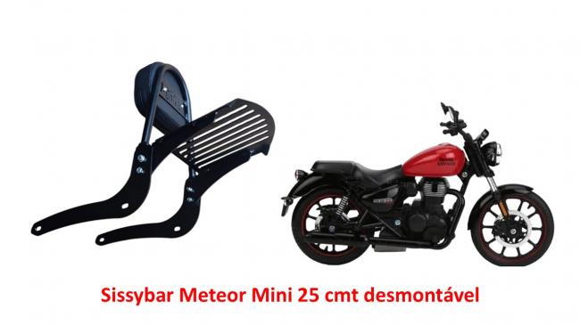 sissybar mini 25 cmt desmontável