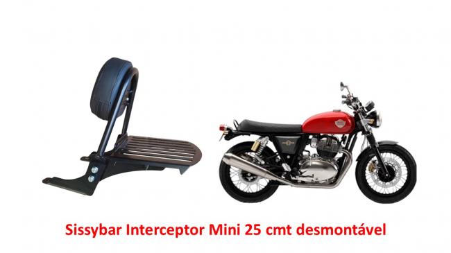 Sissybar Desmontável Mini 25 cmt