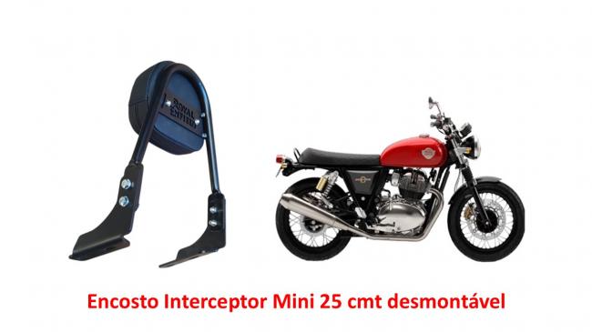 Encosto Desmontável Mini 25 cmt