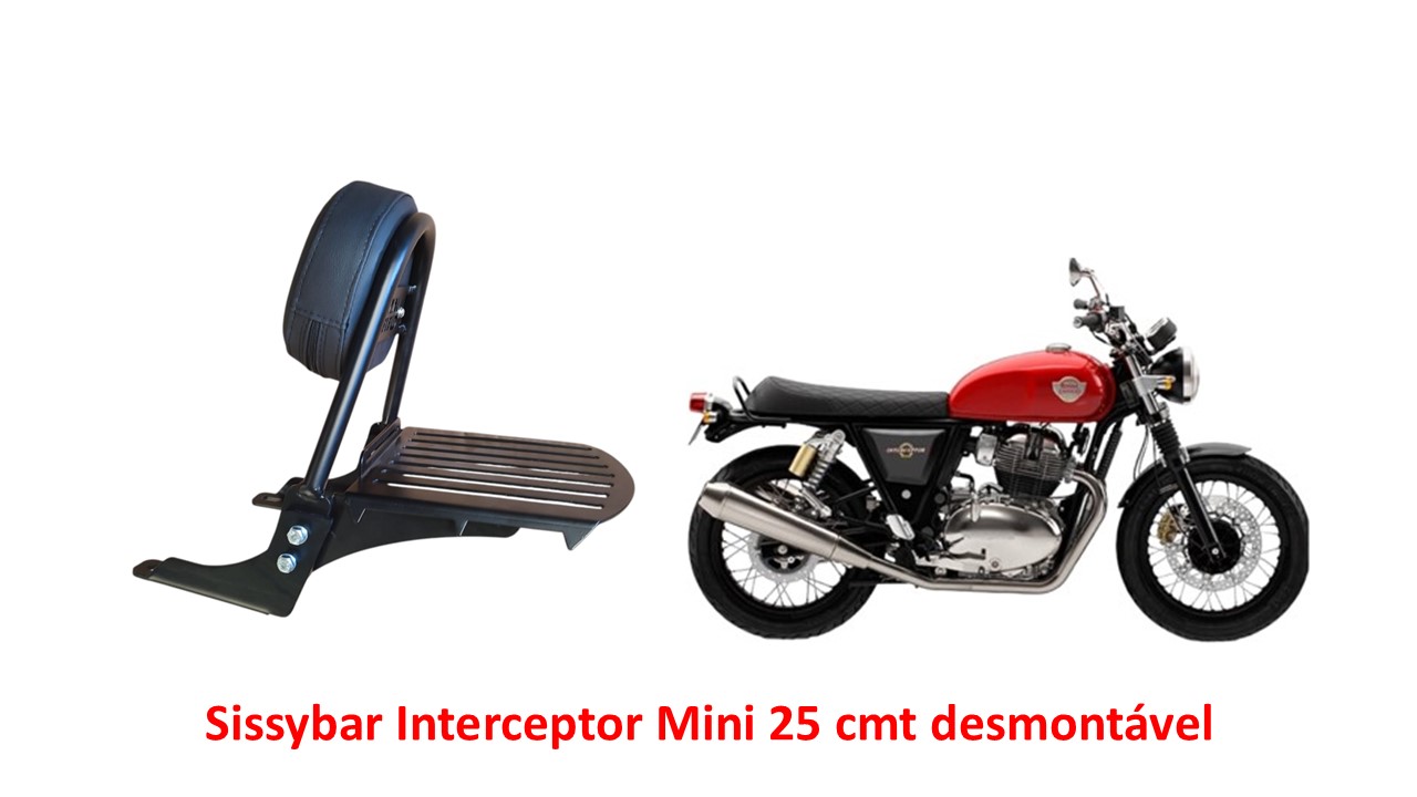 Sissybar Desmontável Mini 25 cmt Interceptor