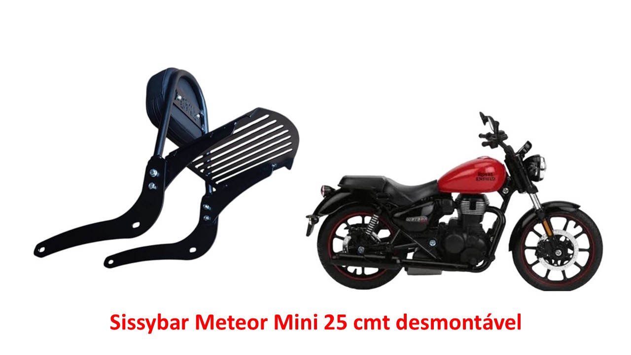 Sissybar Desmontável Mini 25 cmt Fireball 350