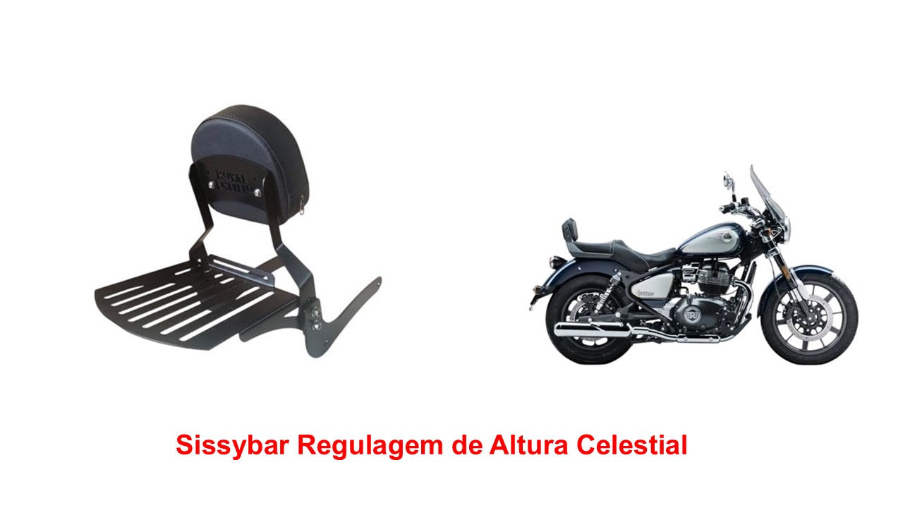 Sissybar Desmontável Regulagem de Altura Celestial 650