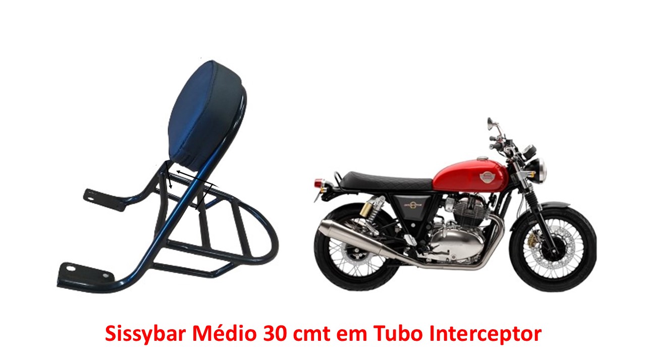 Sissybar Tubular Bear 650